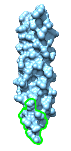 computer generated image