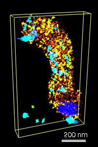 computer generated image