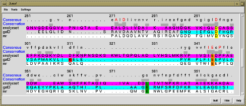 computer generated image