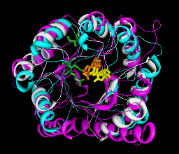 computer generated image