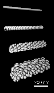 computer generated image