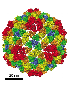 computer generated image