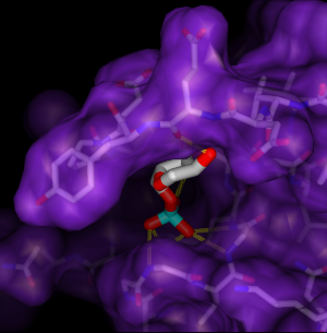 computer generated image