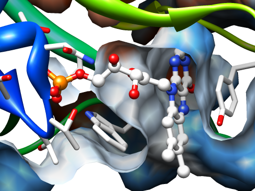 computer generated image