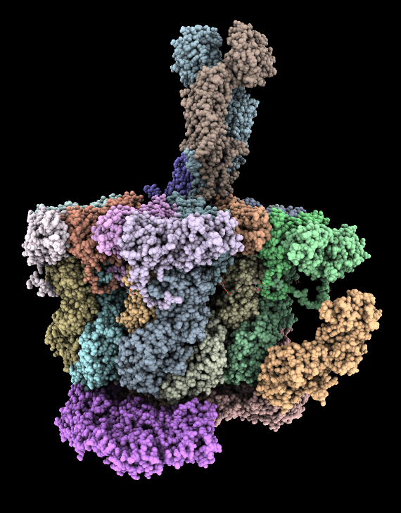 computer generated image