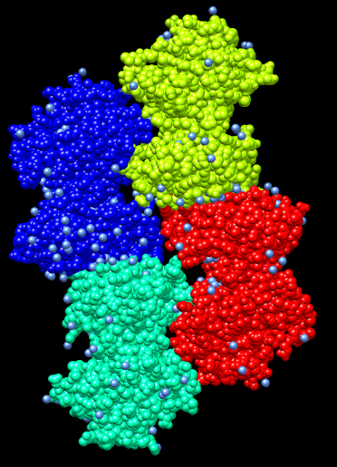 computer generated image