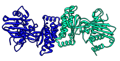 computer generated image