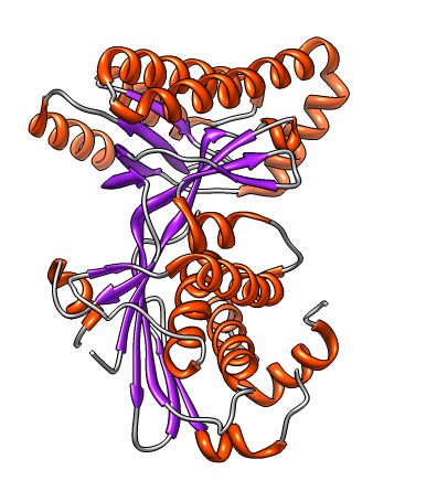 computer generated image