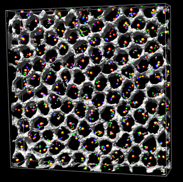 computer generated image