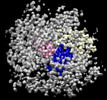 computer generated image