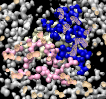 computer generated image