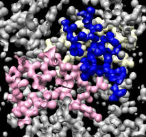 computer generated image