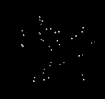 computer generated image