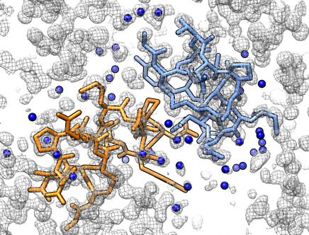 computer generated image