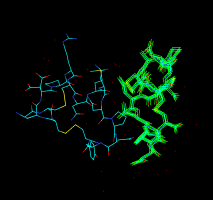 computer generated image