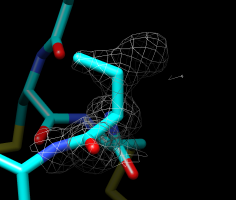 computer generated image