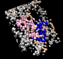 computer generated image