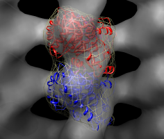 computer generated image