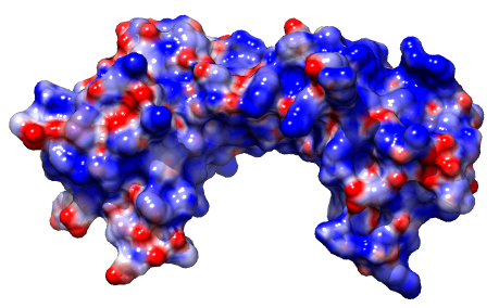 computer generated image