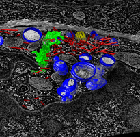 computer generated image