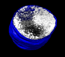 computer generated image