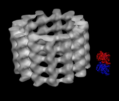 computer generated image