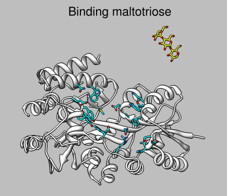 computer generated image