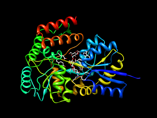 computer generated image