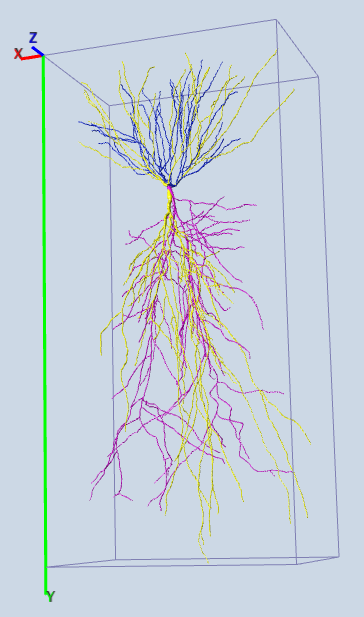 computer generated image