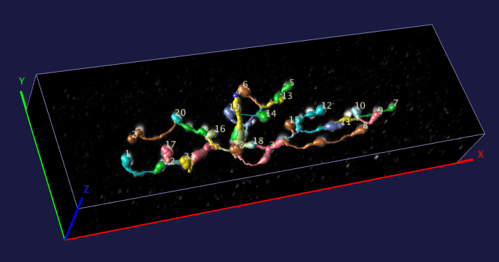 computer generated image