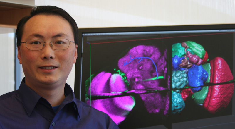 computer generated image