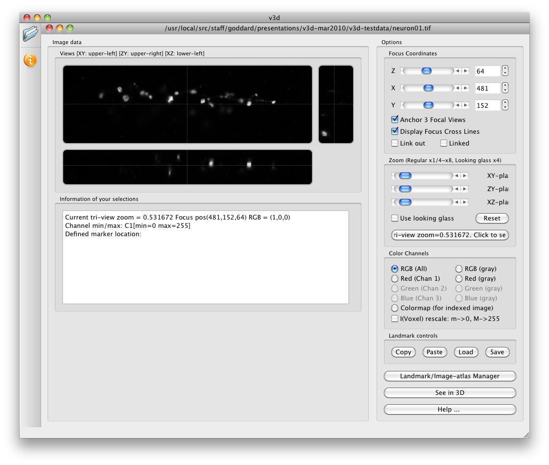 computer generated image
