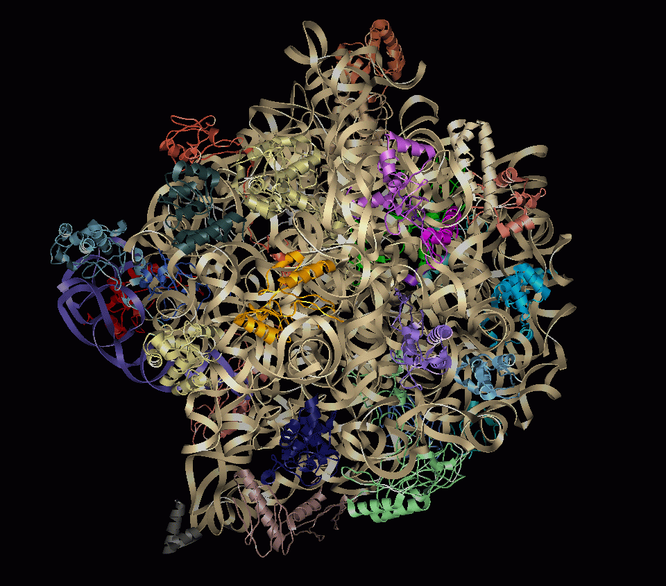 computer generated image