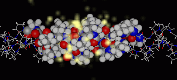 computer generated image