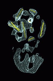 computer generated image