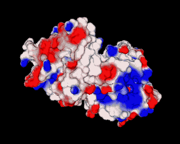 computer generated image