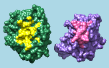 computer generated image