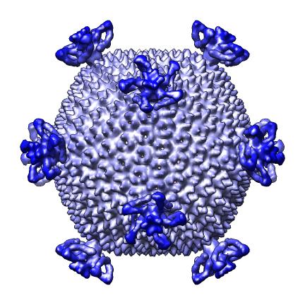 computer generated image