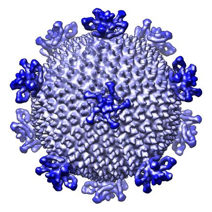 computer generated image