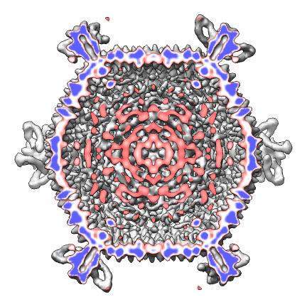 computer generated image