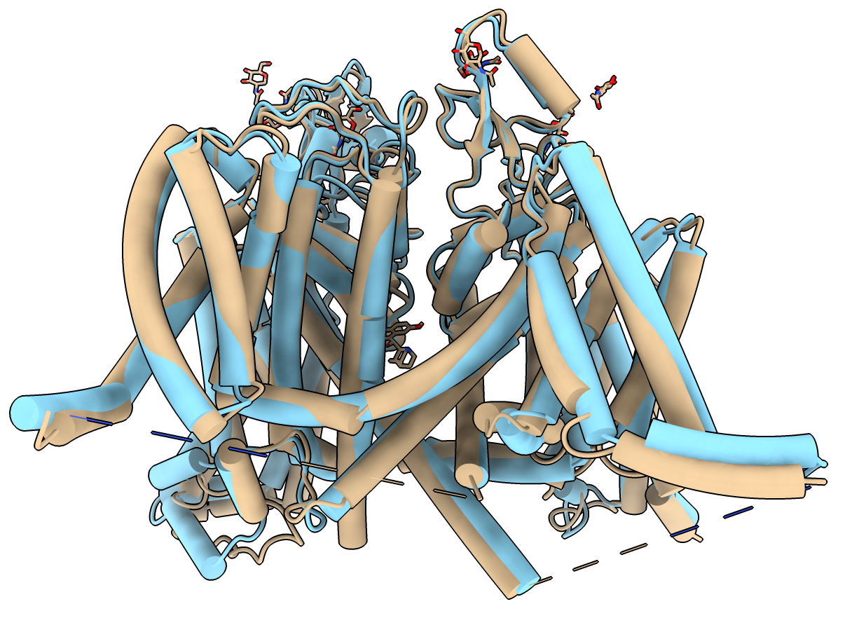 AlphaFold Protein Structures