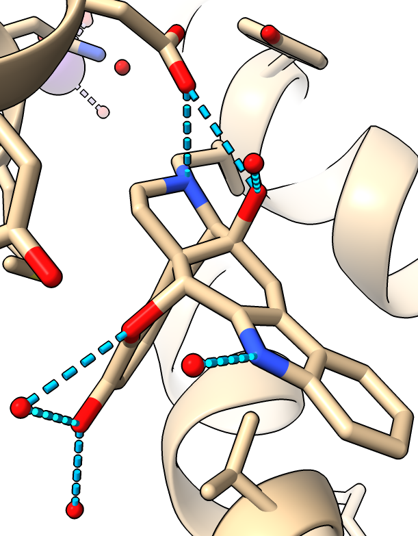 computer generated image