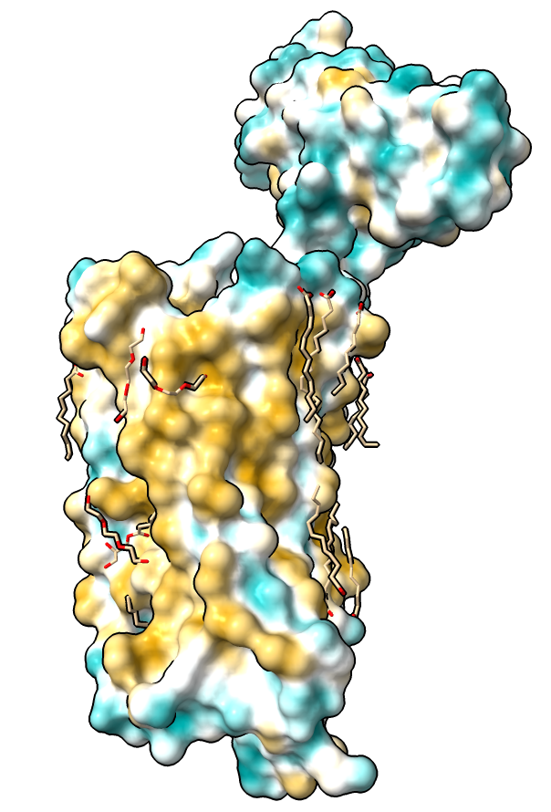 computer generated image