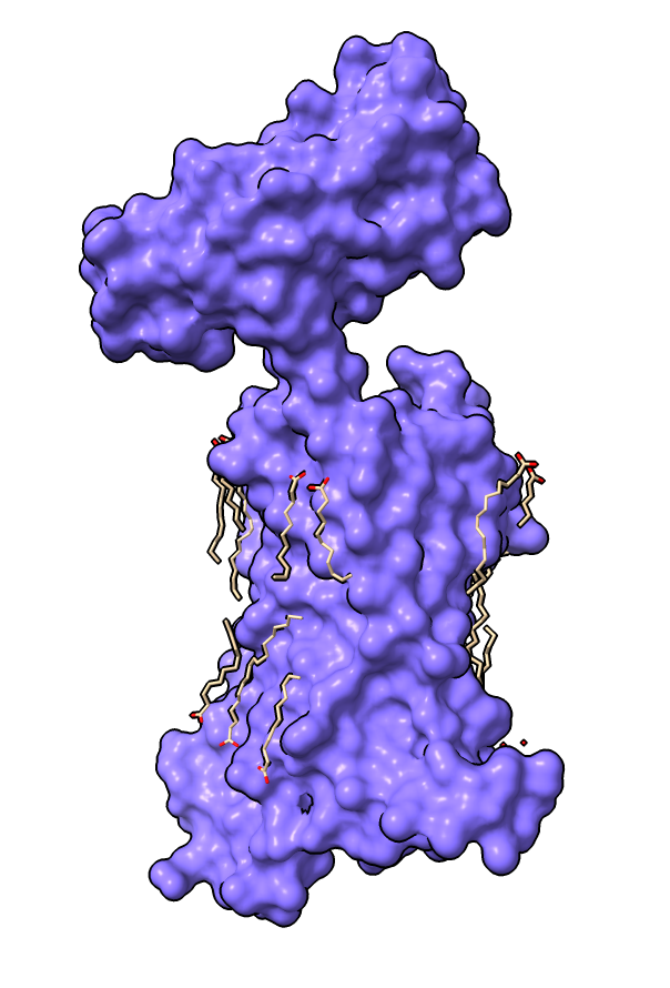 computer generated image