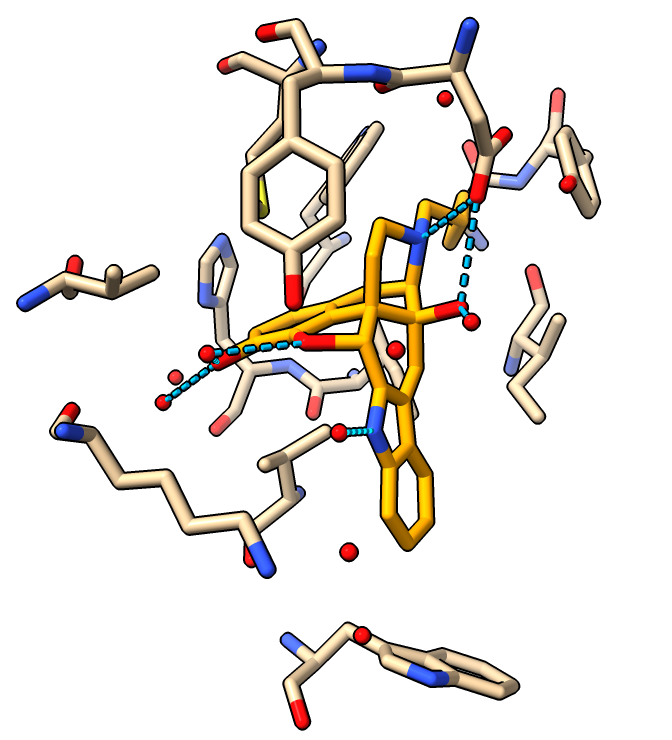 computer generated image