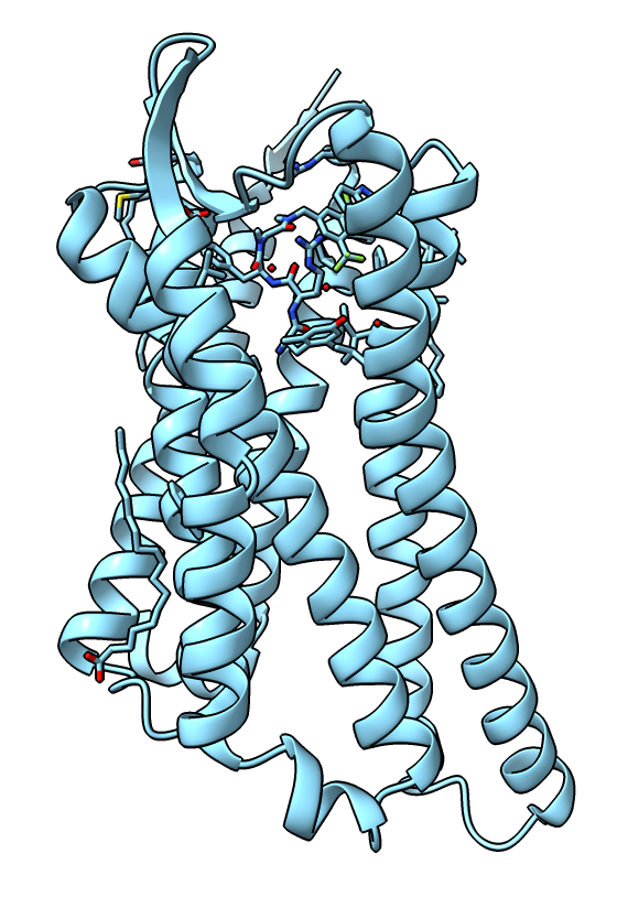 computer generated image