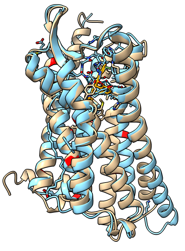 computer generated image