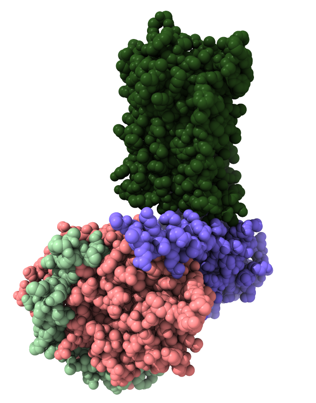 computer generated image