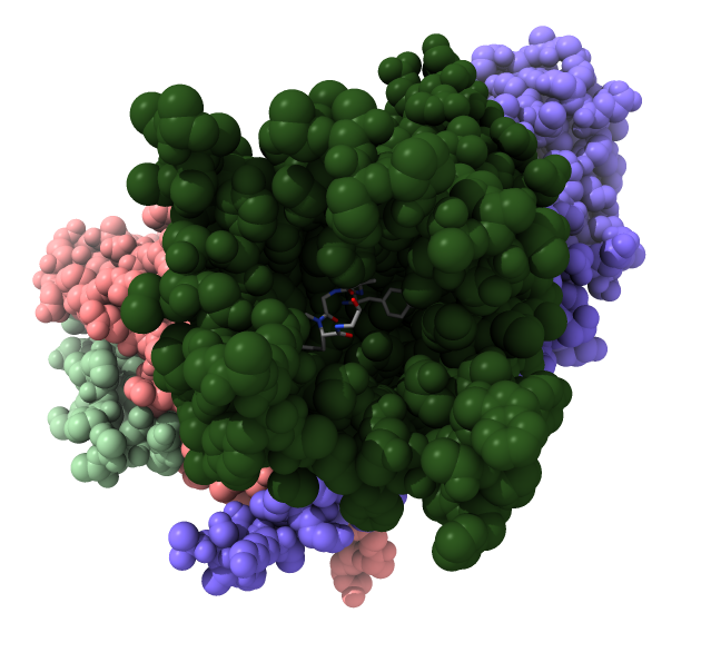 computer generated image