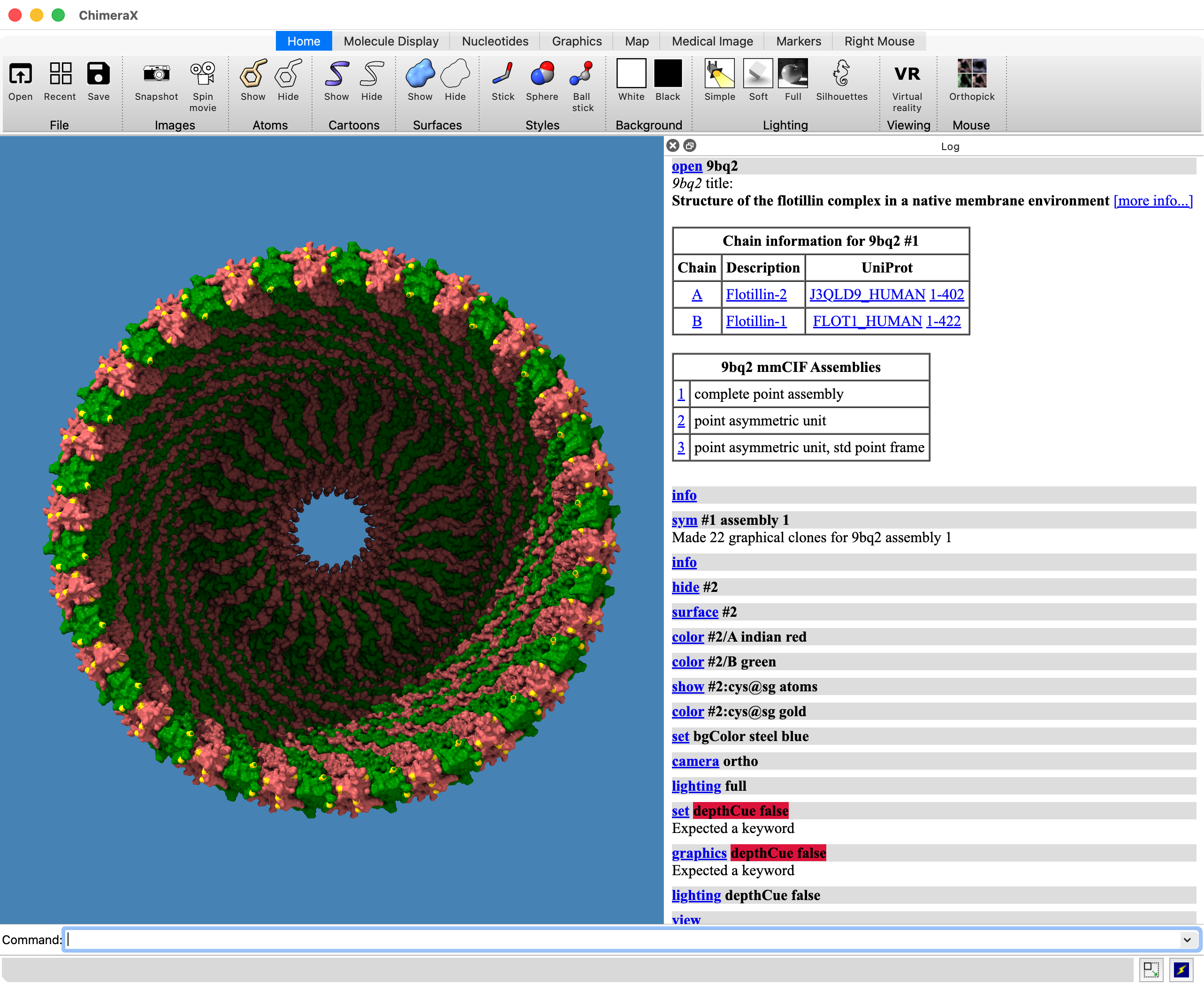 ChimeraX app showing flotillon